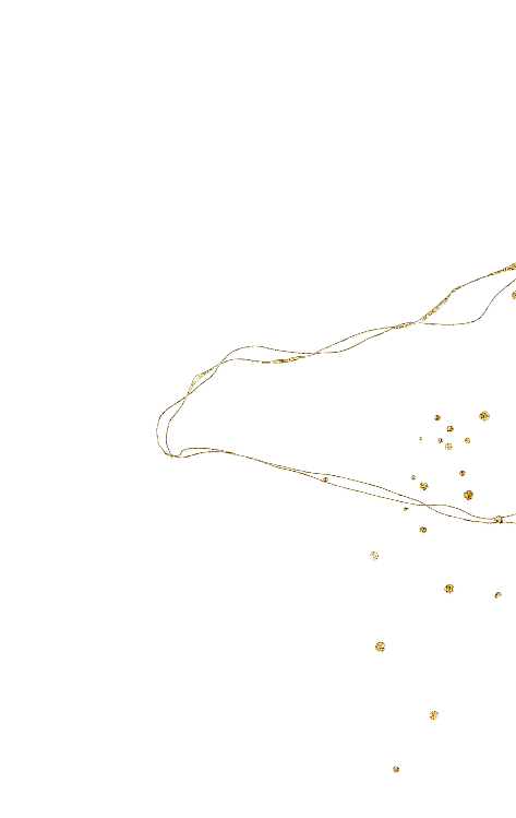 decorative image