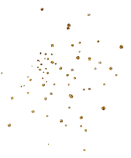 decorative image